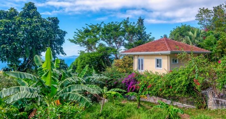 Fototapeta na wymiar Street view of a house on a hill overlooking the sea in the Philippines, surrounded by a lush, tropical garden filled with greenery and colorful bougainvillea flowers. Banana plants in foreground.