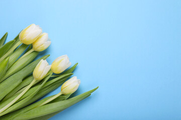 Beautiful yellow tulips on light blue background, flat lay. Space for text