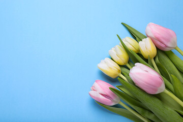 Beautiful tulips on light blue background, flat lay. Space for text