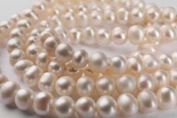 Elegant pearl necklace on white background, closeup