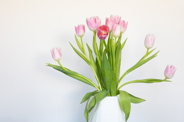 Pink tulips in white vase against white background
