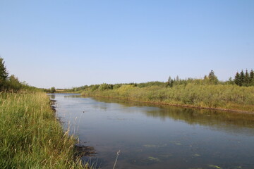Summer On The Wetlands, Pylypow Wetlands, Edmonton, Alberta