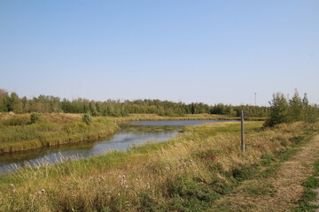 Summer Lands, Pylypow Wetlands, Edmonton, Alberta