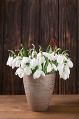 Beautiful snowdrops in vase on wooden table