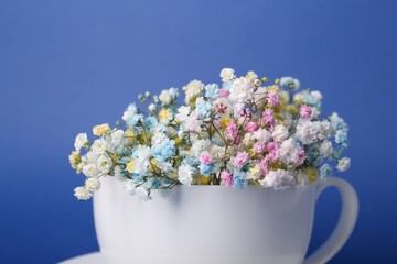 Beautiful gypsophila flowers in white cup on blue background, closeup