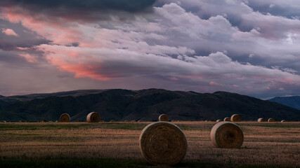 New Zealand farm with hay bails landscape at sunrise © Daniel Thomas