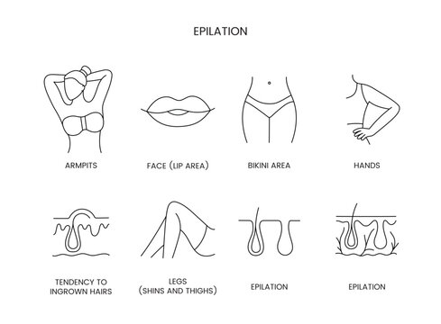 Epilation zones set of line icons in vector, editable stroke. Illustration legs shins and thighs, hands and bikini area, face lip area and armpits, tendency to ingrown hairs