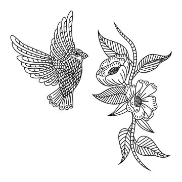 Hand drawn of humming bird and flowers in zentangle style
