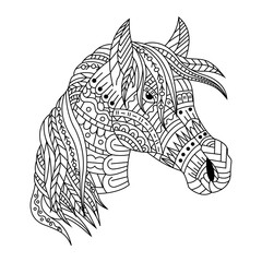 Fototapeta premium Hand drawn of horse head in zentangle style