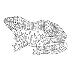 Hand drawn of frog in zentangle style