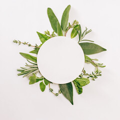 Fresh green herbs arranged into circle with empty paper on the top. Label mock-up