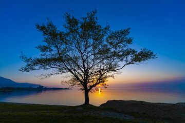 Fototapeta na wymiar 琵琶湖畔の朝