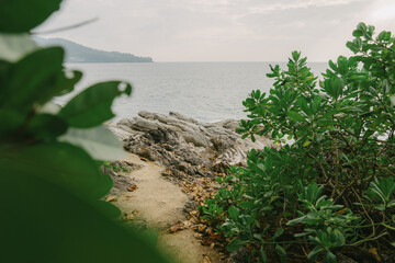 beach with palm trees