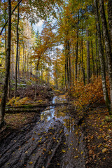 Mountain path in high mountains	