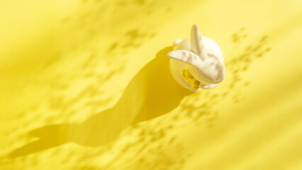 Easter minimalistic background with a ceramic rabbit and a shadow of flowers on it. Sunlight with a...