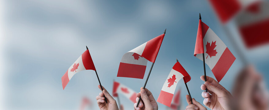 A group of people holding small flags of the Canada in their hands