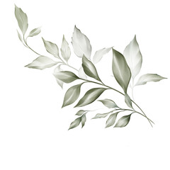 Botanical composition with foliage flowers on a white background. 