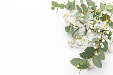Baby's breath Gypsophila flowers, fresh green eucalyptus leaves on  white background.