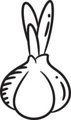 Garlic Sketch Illustration
