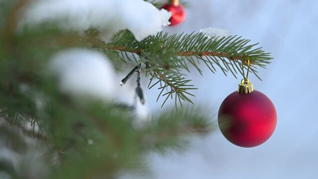 Red Christmas bauble swinging gently on pine branch in winter garden. Close-up of festive holiday decoration.