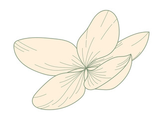 Botanical flower