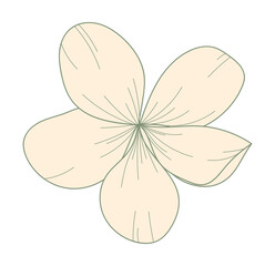 Botanical flower