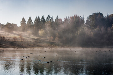 Obraz na płótnie Canvas Quarry Lakes Fog