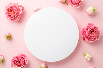 Fototapeta na wymiar Mother's Day concept. Top view photo of white circle and natural flowers pink peony rose buds on isolated light pink background with empty space