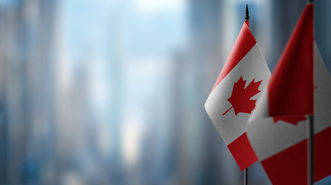 Small flags of the Canada on an abstract blurry background