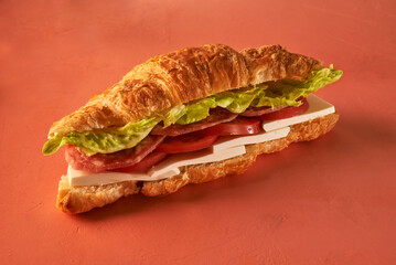 Appetizing  croissant with cheese and salami