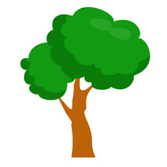 Tree Illustration
