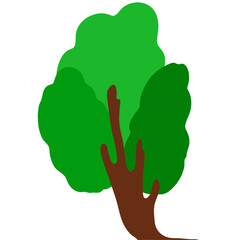 Tree Illustration