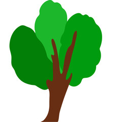 Tree Illustration