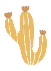 Cactus vector
