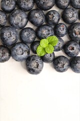 Fresh blueberries with mint leaves. The fruits are actual berries with many tiny seeds and are deep indigo to black color when ripe. Copy space.