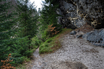 Wandern in der Sächsischen Schweiz- Großer Reitsteig
