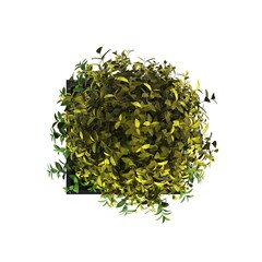 decorative flowers and plants for the interior, top view, isolated on white background, 3D illustration, cg render 