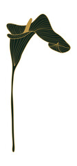 Tropical anthurium flower gold line art