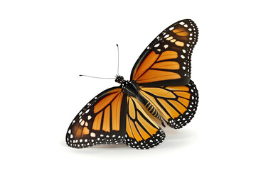 Fototapeta na wymiar monarch butterfly with shadow isolated on white background. Generated by AI
