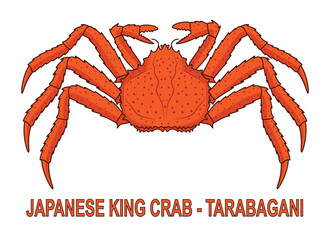 Japanese King crab called Tarabagani drawing in vector