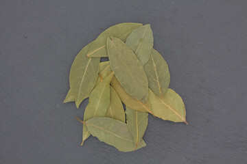 Laurel leaves on dark slate