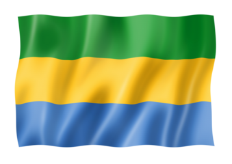 Gabonese flag isolated on white