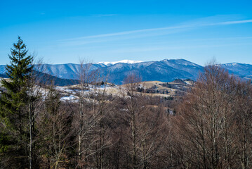 Early spring in mountains. Snowy peak and coniferous forest