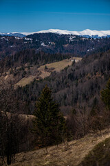 Early spring in mountains. Snowy peak and coniferous forest