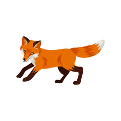 Obraz premium vector drawing fox, hand drawn animal isolated at white background , cartoon style character