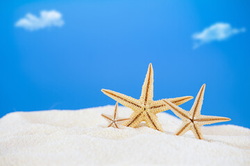 Starfish on white sand with sky. Rest, travel, summer in hot countries. Copy space