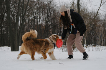 Young brunette woman walks in snowy winter park with dog and plays with red disc toy. Active energetic playful Australian Shepherd with girl owner having fun outside and playing with flying saucer.