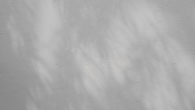 White cement wall background and textured with shadow of leaves and trees