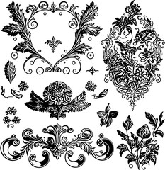 Collection of black and white drawn leaves Ornaments and decoration	

