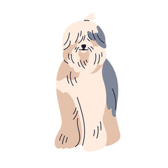 Bobtail dog breed. Cute bob-tail shepherd doggy. Old English Sheepdog, canine animal with shaggy hairy fuzzy coat, long hair, covering eyes. Flat vector illustration isolated on white background